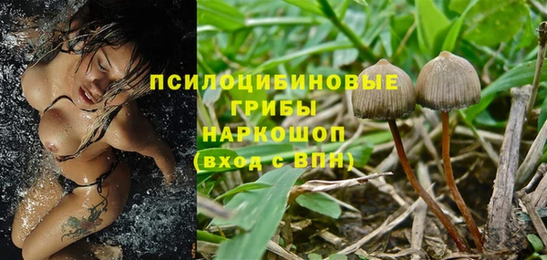 метамфетамин Богородицк