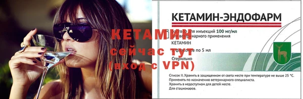 стаф Богданович