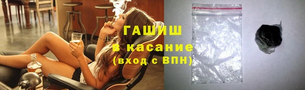 стаф Богданович