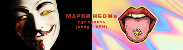 стаф Богданович
