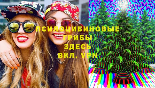 стаф Богданович