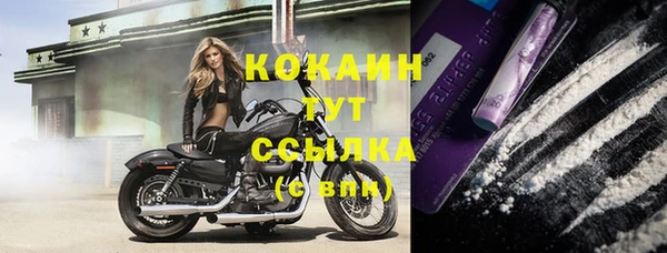 молекула духа Беломорск