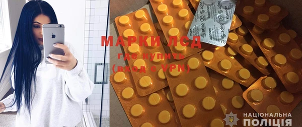 стаф Богданович