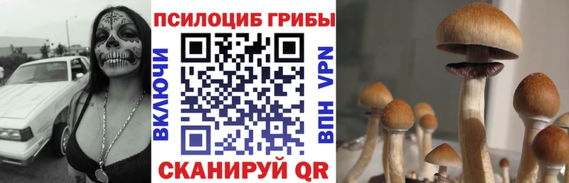 Псилоцибиновые грибы MAGIC MUSHROOMS  купить наркоту  Наро-Фоминск 